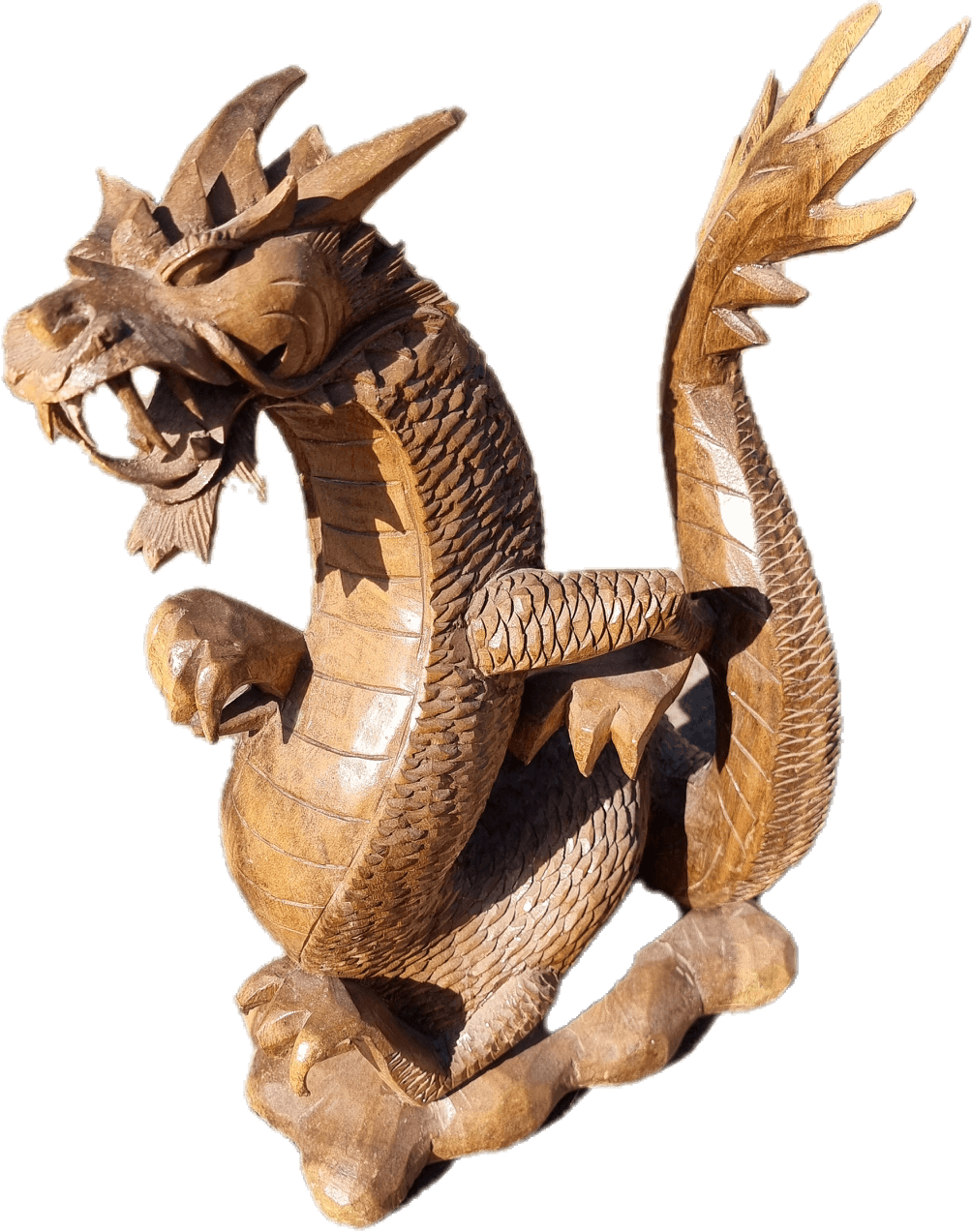 Dragones